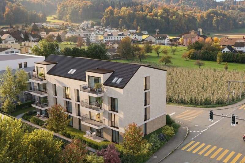 Gartenwohnungen in attraktiver Lage von Killwangen (2)