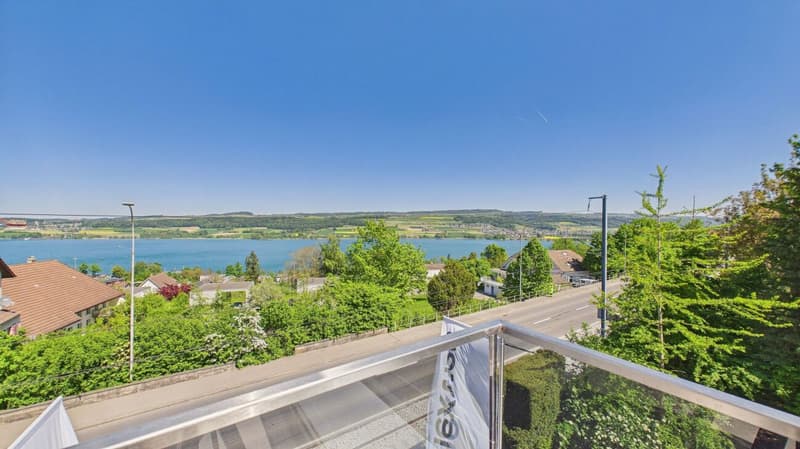 Wohnen mit Aussicht - Ihr Zuhause mit Blick auf den Hallwilersee (13)