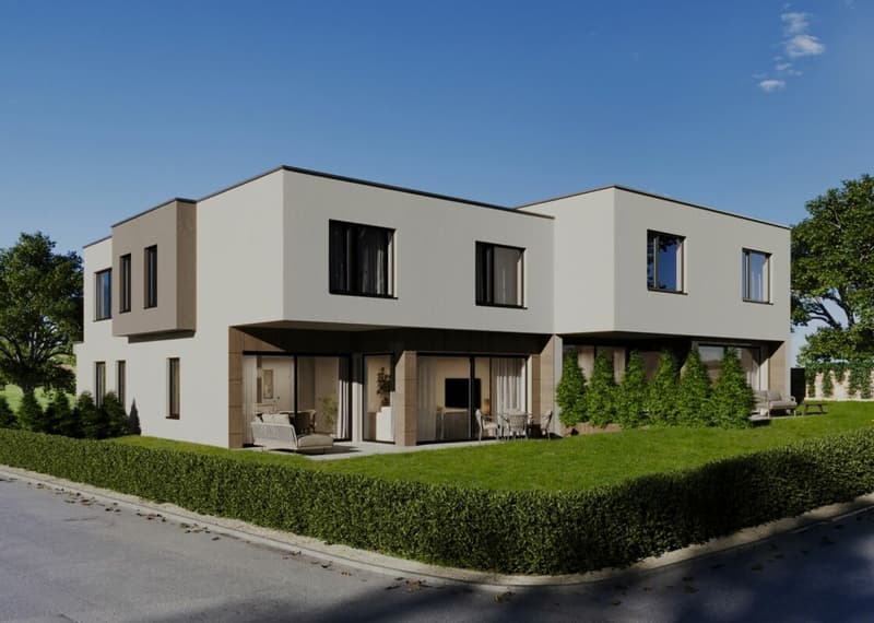 Exklusives Neubau-Doppeleinfamilienhaus in Uznach (3)