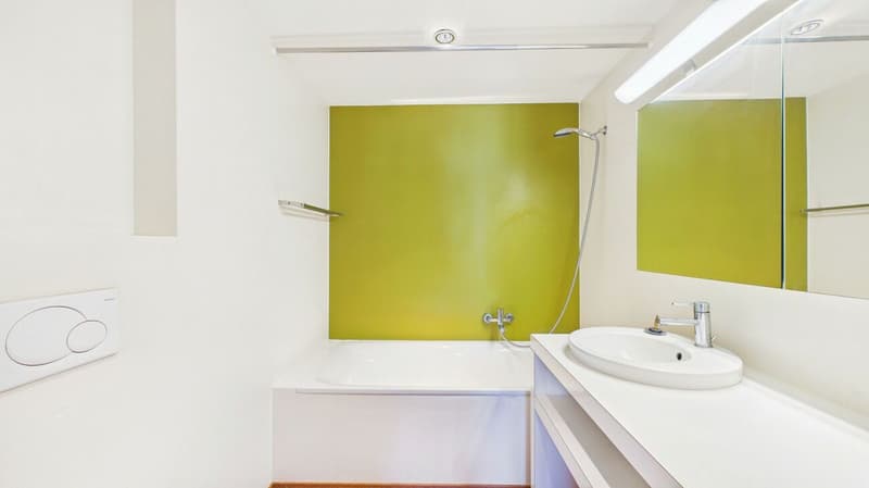 Einmalige 4.5-Zimmer-Mietwohnung mit unverbaubarer Aussicht in Zürich-Witikon (14)