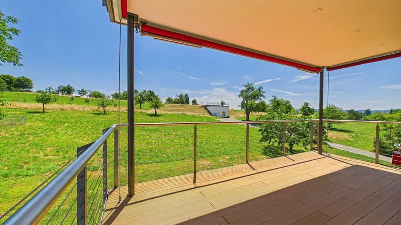 Einmalige 4.5-Zimmer-Mietwohnung mit unverbaubarer Aussicht in Zürich-Witikon (1)
