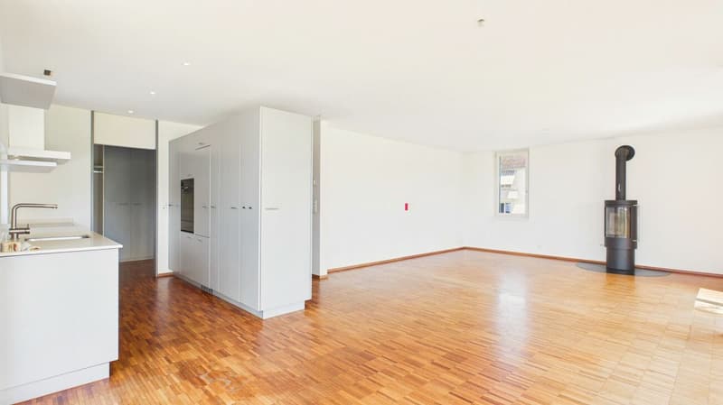 Einmalige 4.5-Zimmer-Mietwohnung mit unverbaubarer Aussicht in Zürich-Witikon (8)