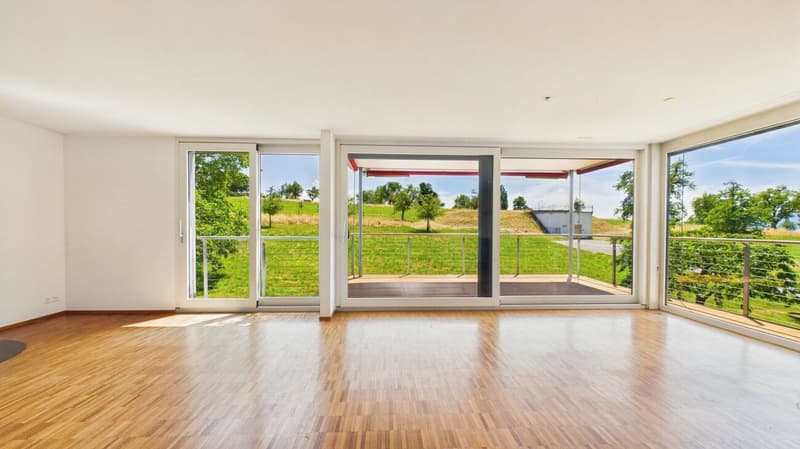 Einmalige 4.5-Zimmer-Mietwohnung mit unverbaubarer Aussicht in Zürich-Witikon (2)