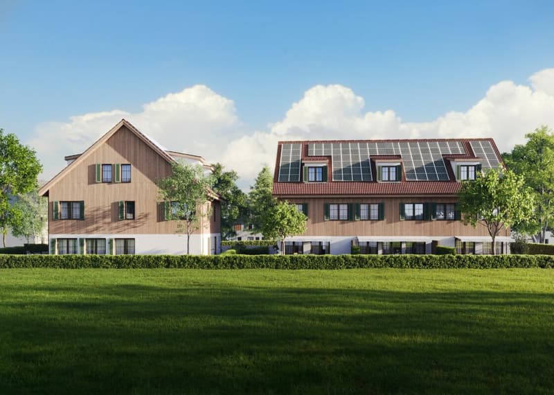 "BAUSTART ERFOLGT" 6.5-Zimmer-Neubauhaus mit durchdachtem Raumkonzept in Birr (4)