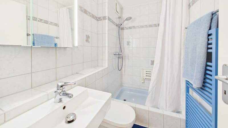 Wohnen mit Ruhe und Komfort - 3.5 Zimmer mit sonnigem Balkon (11)