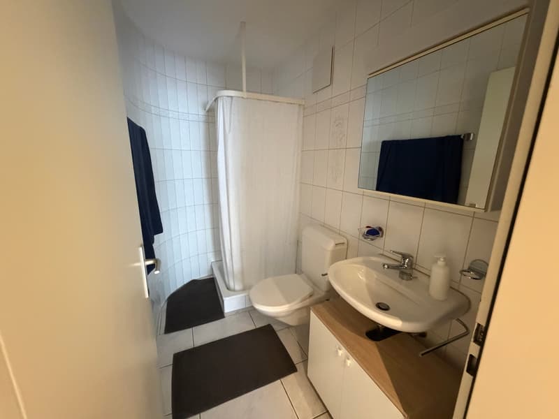 4-Zimmer-Wohnung mit Balkon & Garage in Unterkulm kaufen (6)
