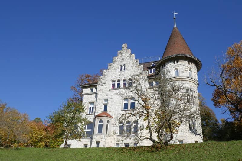 Einzigartige 3.5-Zimmerwohnung mit Terrasse in der Villa Rheinbühl (1)