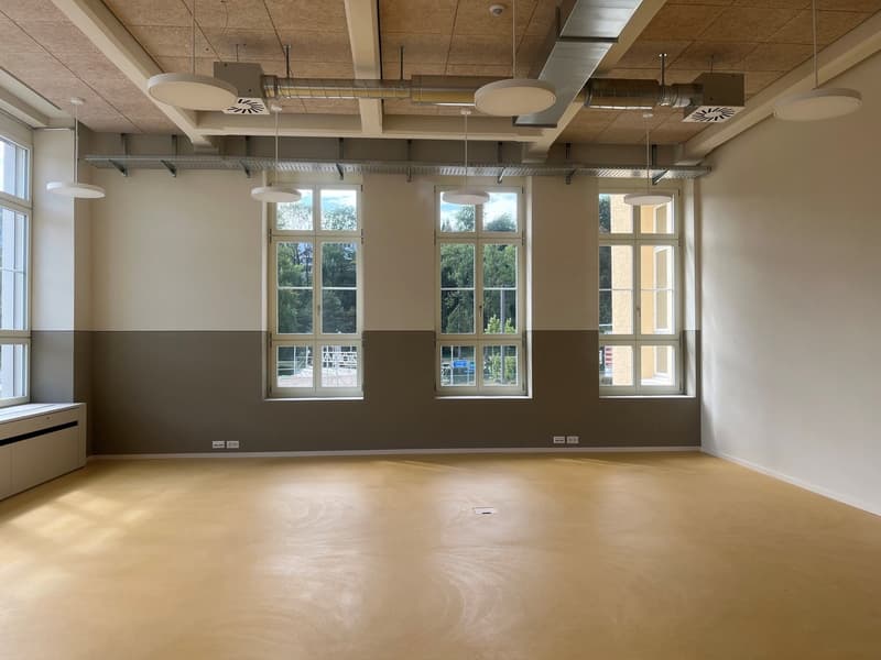 Kammgarnareal - 105 m2 mit industriellem Charakter (3)