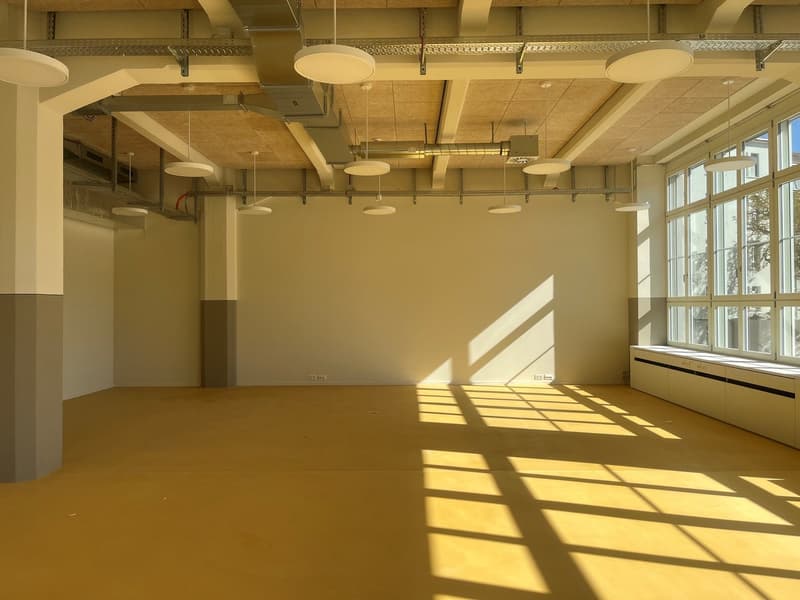 Kammgarnareal - 105 m2 mit industriellem Charakter (4)