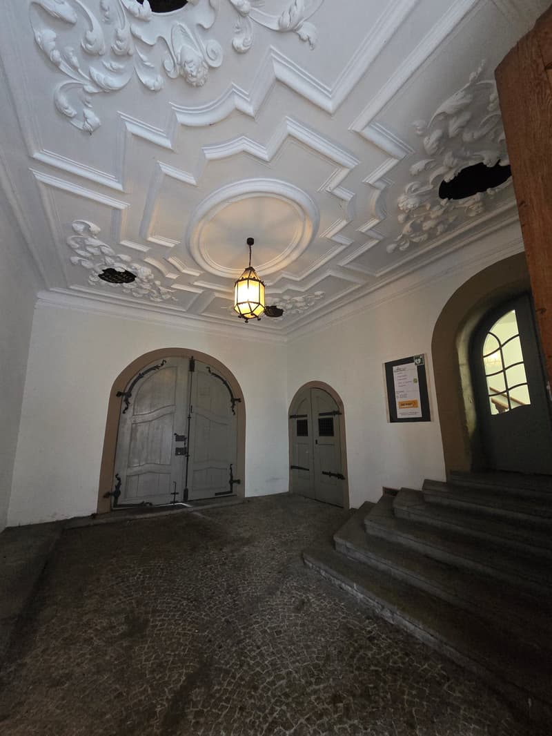 Charmante 3.5 Zimmer-Altbauwohnung in der Schaffhauser Oberstadt (2)
