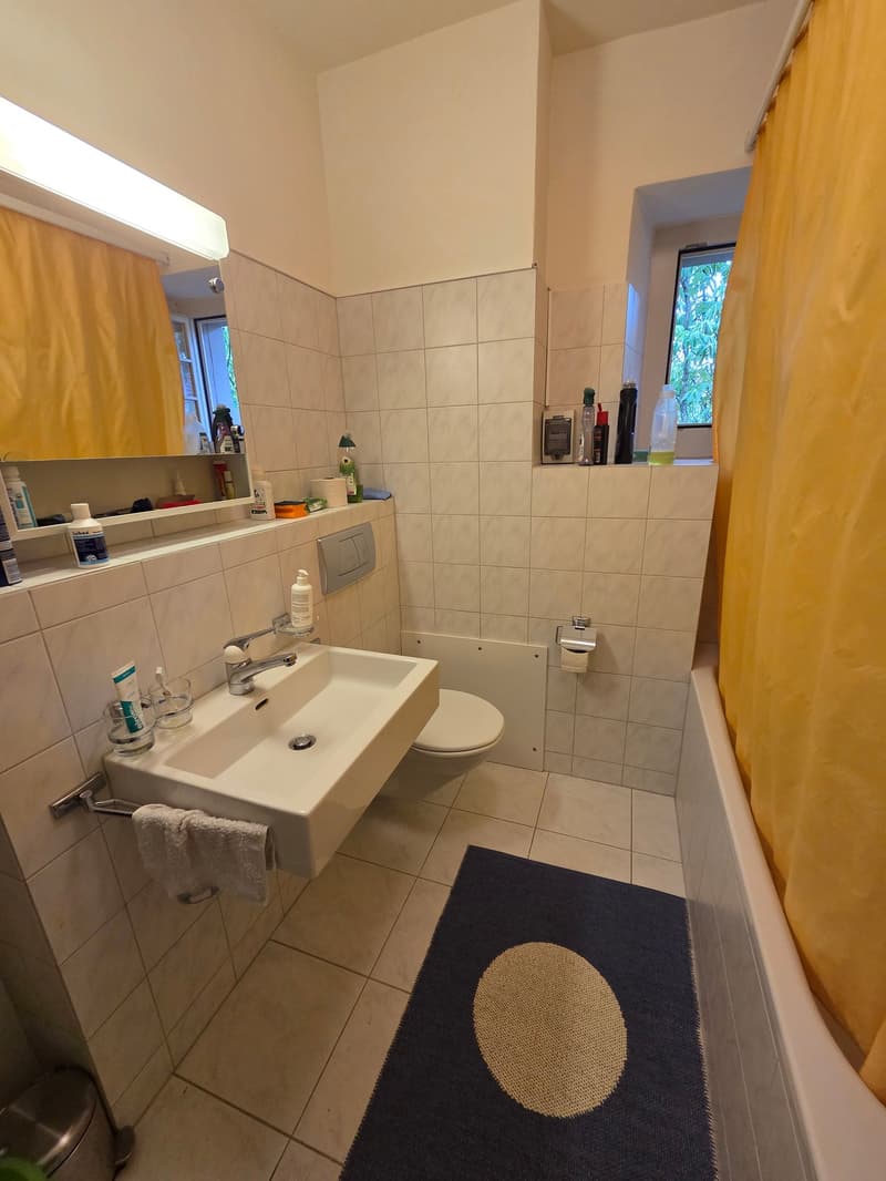 Charmante 3.5 Zimmer-Altbauwohnung in der Schaffhauser Oberstadt (10)