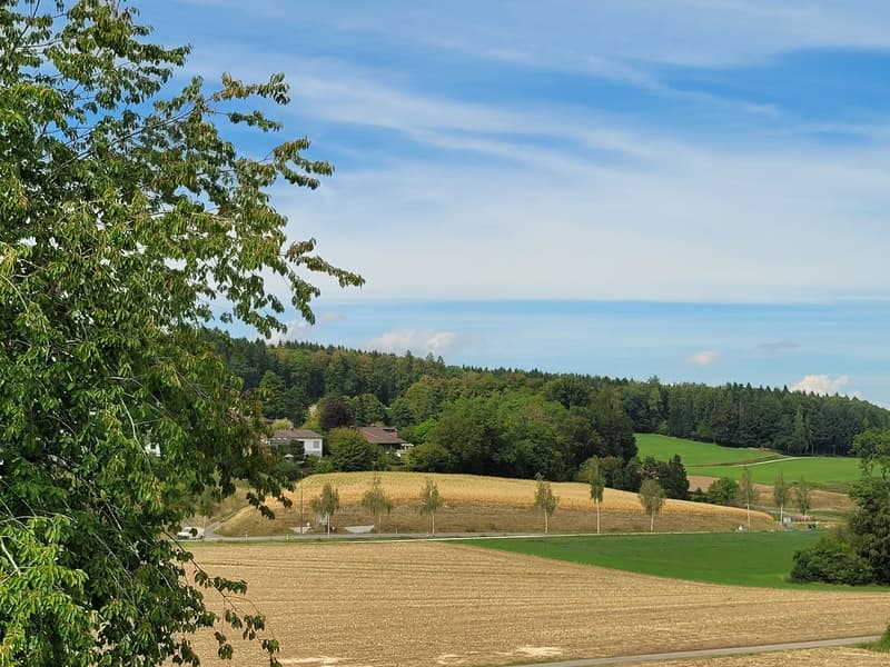 Aussicht