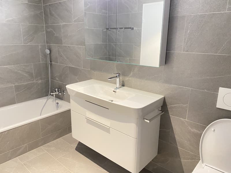 Ihr neues Zuhause: Exklusive 4.5-Zimmer-Wohnung in Fehraltorf (6)