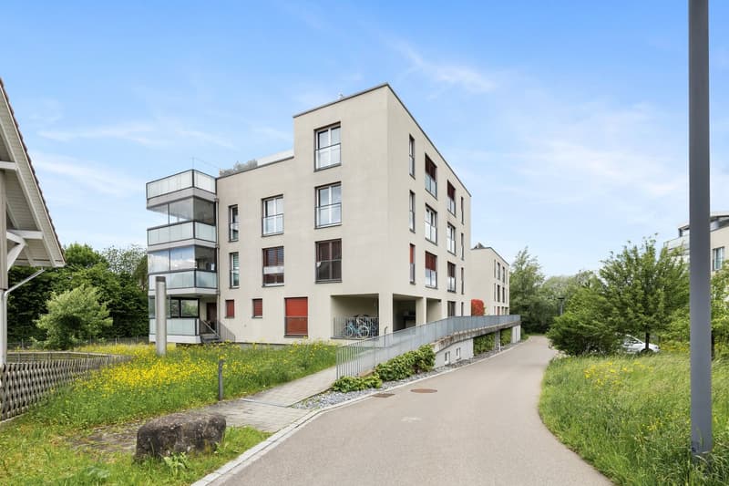 Ostansicht, Quartierstrasse