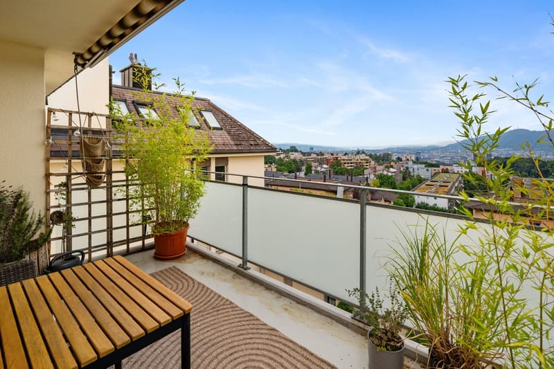 Charmante 5.5-Zimmer-Dachwohnung in Zürich-Höngg (8)