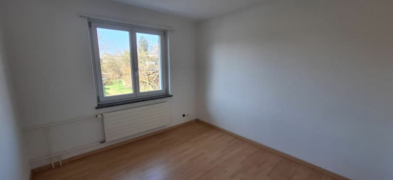 Charmantes Doppeleinfamilienhaus (6)