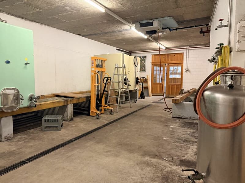 Grosszügige Lagerfläche mit Büro-/Verkaufsraum (4)