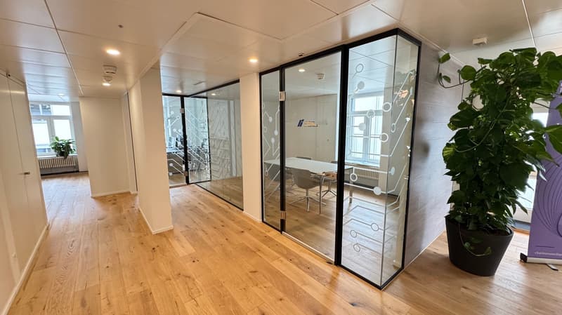 Modernes Einzelbüro in der Seidengasse - Zürich Altstadt (2)