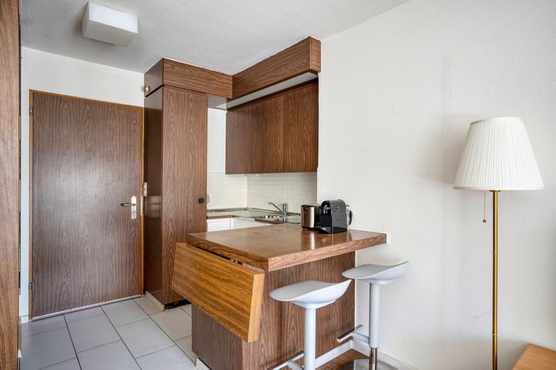 Helles Studio (1.5 ZW) Unterstrass, 10 mit Tram von HB, by Blueground (5)