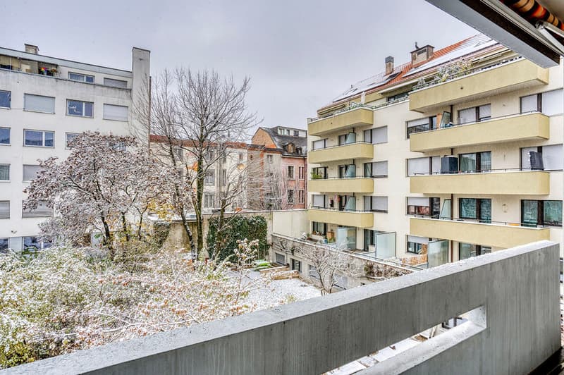 Ausserordentliche Gundeldingen 1 Zim. mit Keller, nah zu Basel HB (4)