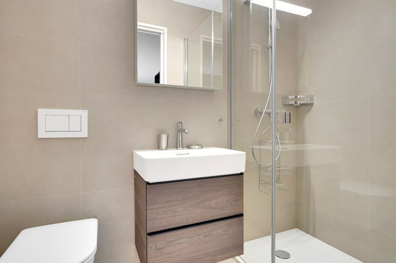 Modern bathroom with a white sink vanity, wood-grain drawers, a large mirror, and a glass-enclosed shower area.