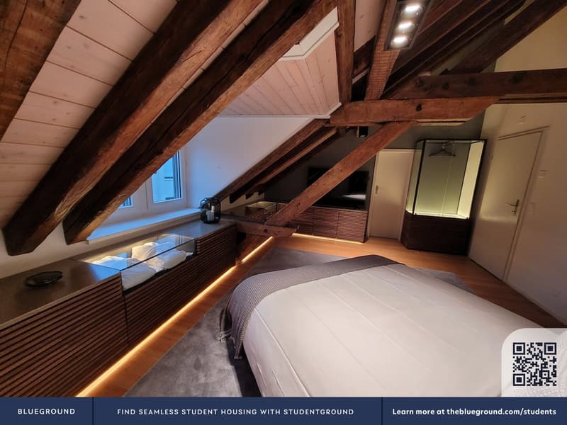 Building Lintheschergasse (ZRH1580746P) (10)