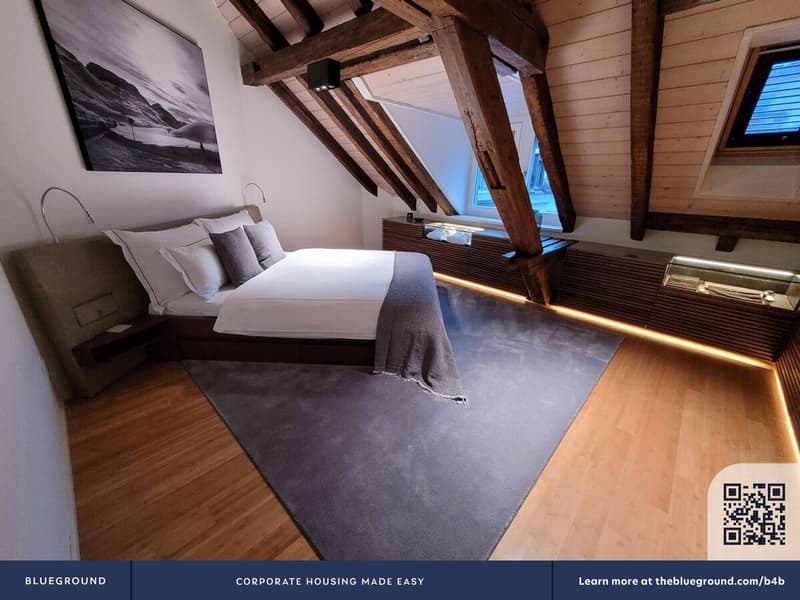 Building Lintheschergasse (ZRH1580746P) (9)