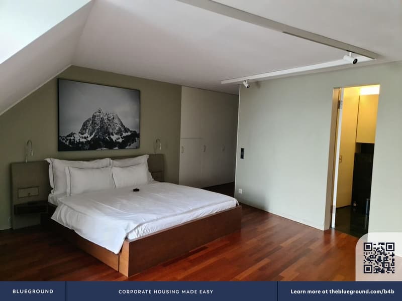 Building Sankt Leodegarstrasse (ZRH1580657P) (9)