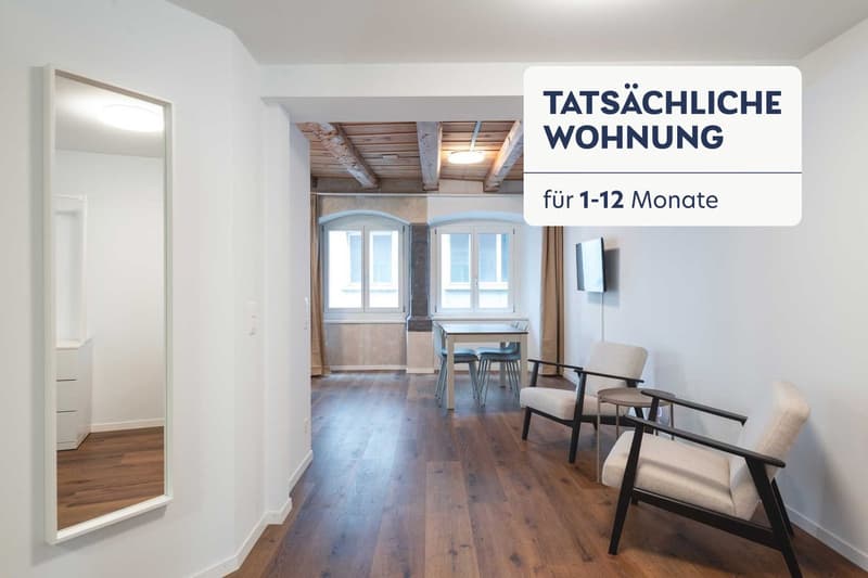 Building Eisengasse (ZRH1542192P) (1)