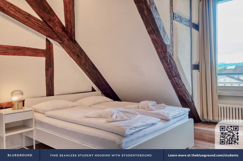 Building Brandgässli - hitrental-ag - 1419366(ZRH1419366P) (5)