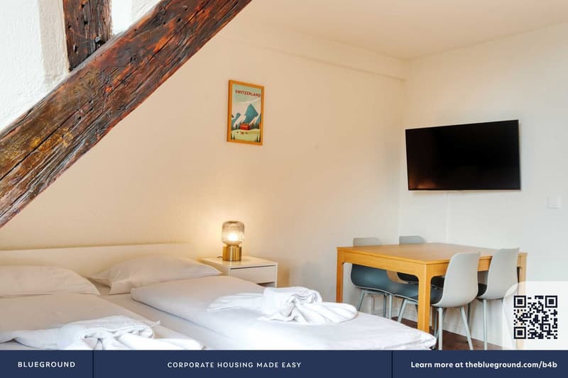 Building Brandgässli - hitrental-ag - 1419366(ZRH1419366P) (4)