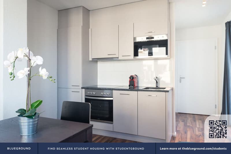 Building Birmensdorferstrasse (ZRH1459733P) (5)