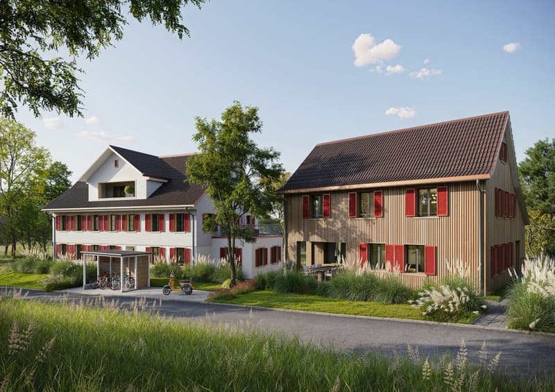 3.5 Zimmer Wohnungen in charmanter, kleiner Überbauung (3)
