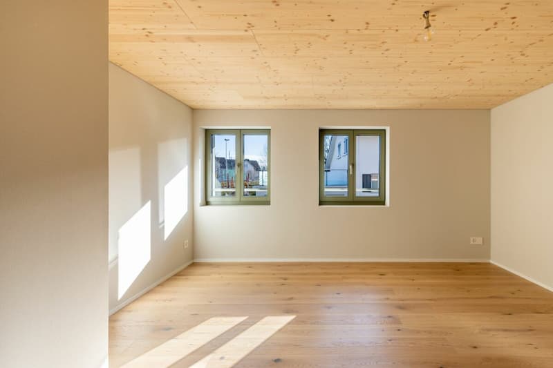 Bezugsbereit! Komplett saniertes 5.5 Zimmer Einfamilienhaus im schönen WEIHERHOF (16)