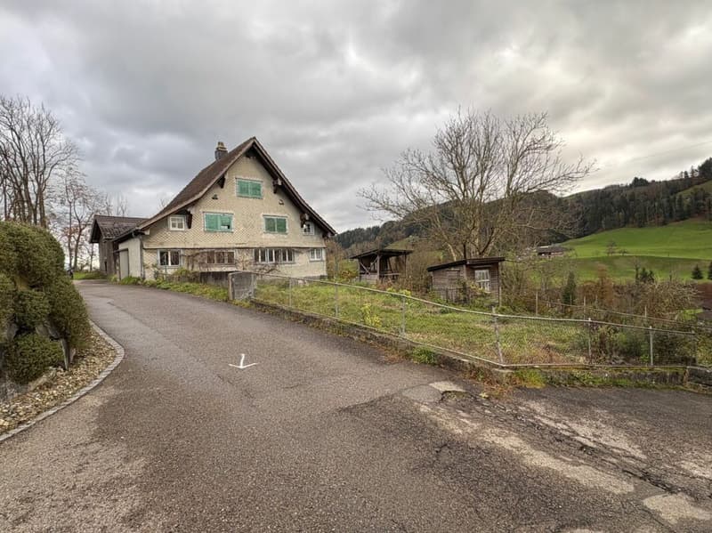 Bauparzelle oder Bestand an schöner Lage (1)