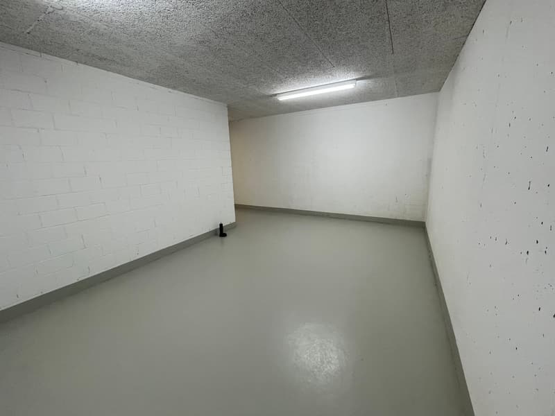 Geschlossenes Kellerabteil mit 28 m2 Nutzfläche (1)