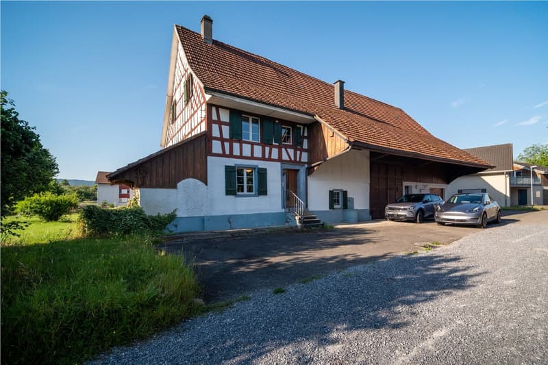 Historisches Bauernhaus in Pfyn TG mit viel Potenzial (4)