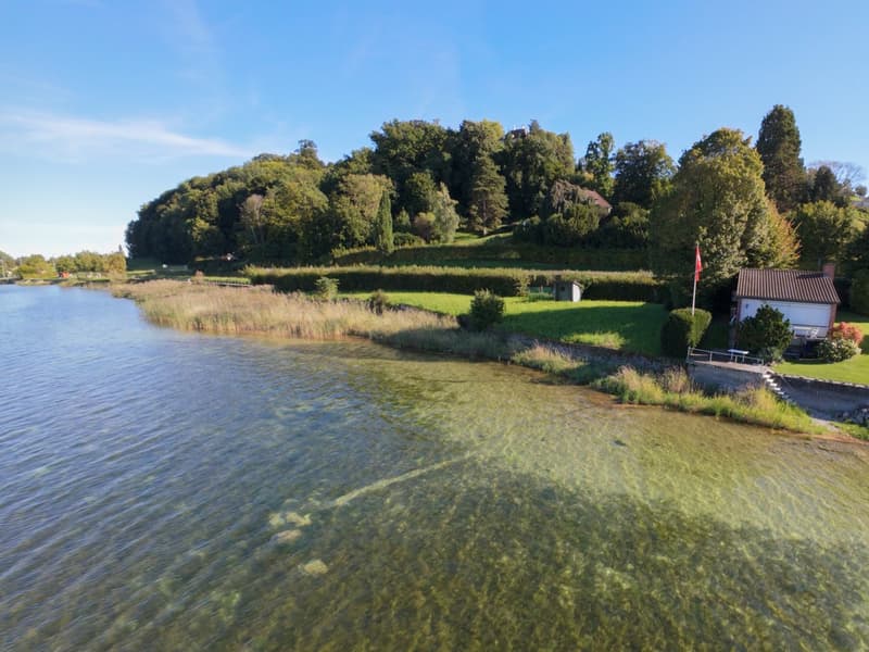 Exklusive Villa am Bodensee mit Seegrundstück in Mannenbach (4)