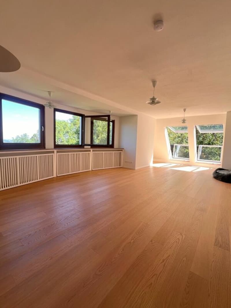 Jugendstilvilla mit Panoramablick und 6.315 m² Parkgrundstück in Stuttgart (27)