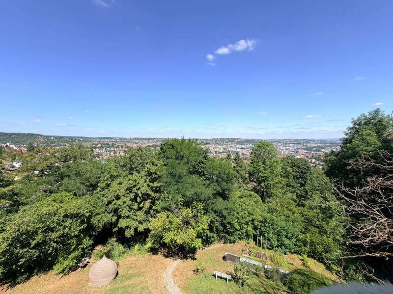 Jugendstilvilla mit Panoramablick und 6.315 m² Parkgrundstück in Stuttgart (22)