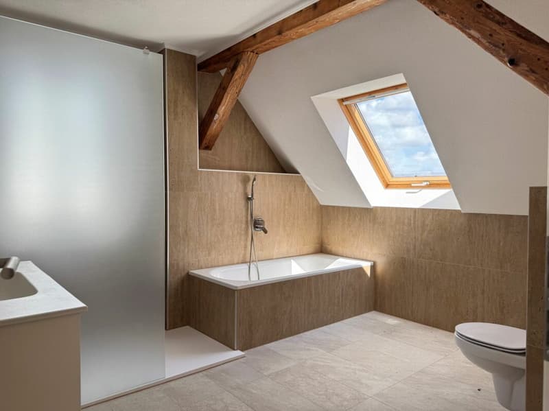 Investoren aufgepasst! Kernsanierte Dachgeschosswohnung in attraktiver Lage von Freudenstadt (9)