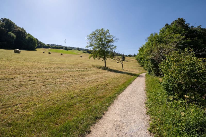 Seeparzelle am Hallwilersee mit Zufahrt