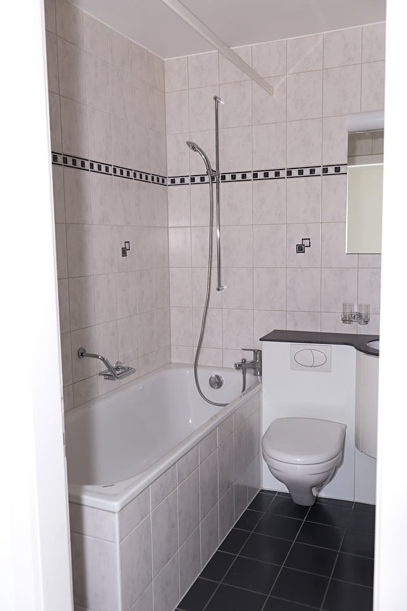 1 Zimmerwohnung (6)