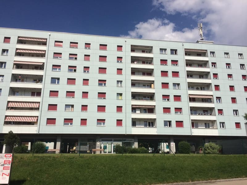 1 Zimmerwohnung (1)