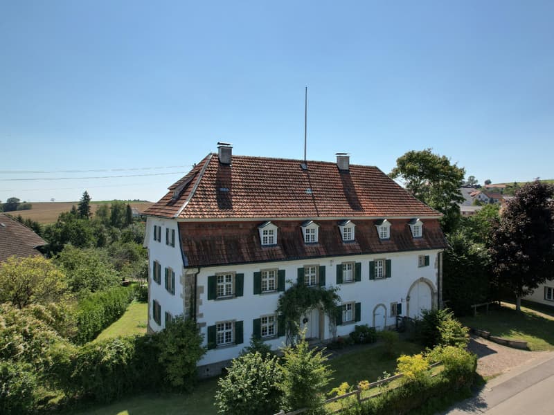 Domaine historique rencontre élégance moderne - ancienne Vogtei avec panorama alpin (2)