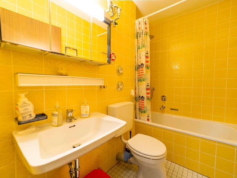 2-Zimmer-Wohnung mit Wellnessbereich in Schönwald (4)