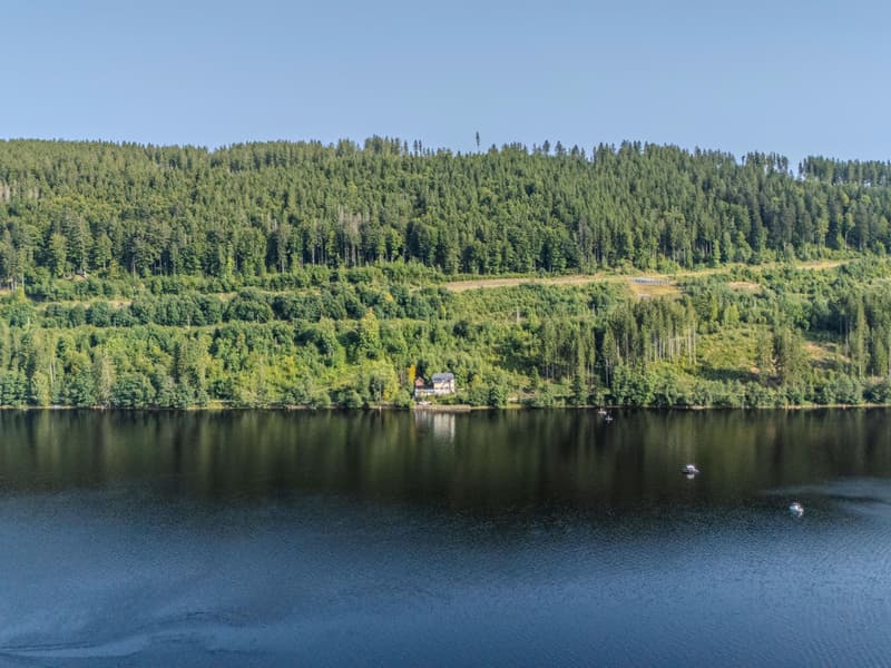 Exklusive Rarität am Titisee - Historisches Seehaus mit direktem Seezu (5)