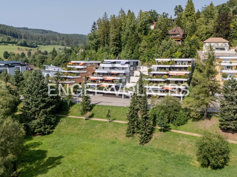 Sanierungsbedürftige 4,5-Zimmer-Terrassenwohnung mit Parkblick (1)