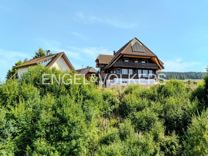 Exquisite Black Forest Estate (5)