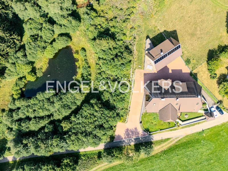 Exquisite Black Forest Estate (3)
